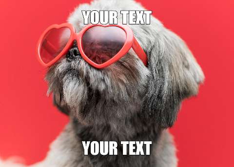Preview for Cute-dog-heart-sunglasses-template-meme-dog-c1775