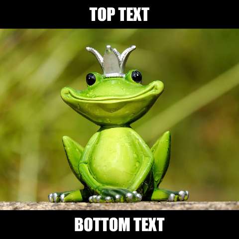 Preview for Frog-king-meme-template-meme-animal-336c4