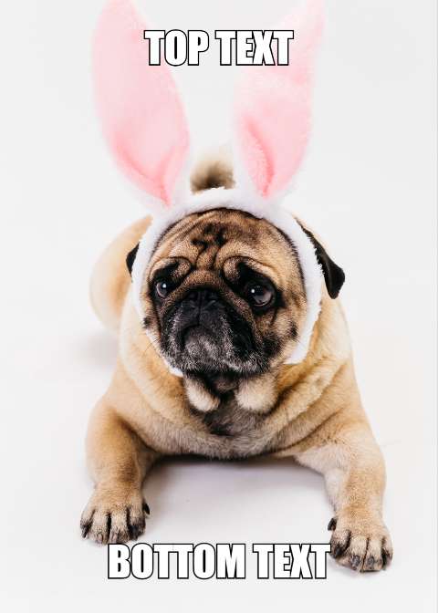 Preview for Pug-bunny-ears-meme-template-meme-dog-b7d7f