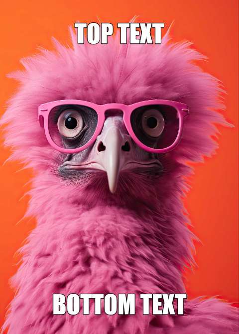 Preview for Funny-pink-bird-meme-template-meme-animal-e1407