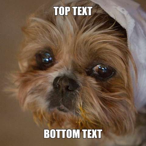 Preview for Meme-dog-template-ed377