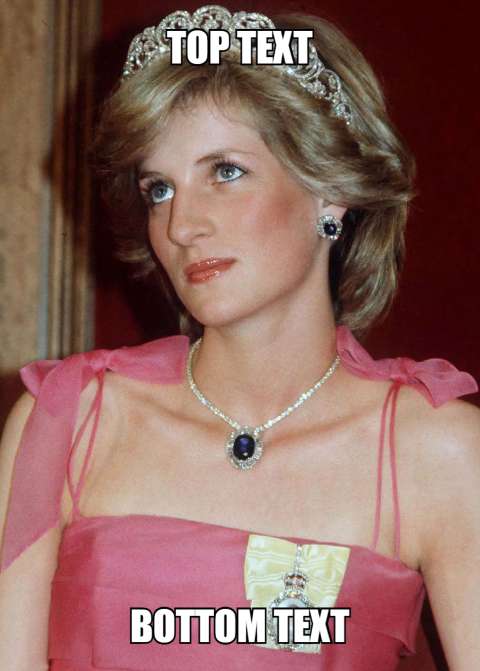 Preview for Princess-diana-meme-template-meme-celebrity-d6303