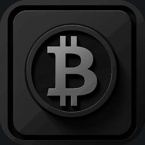 Preview for Bitcoin Logo Icon Template