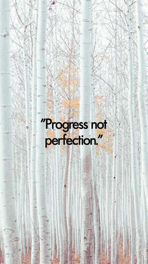 Preview for Progress-over-perfection-story-quote-template-9a40b