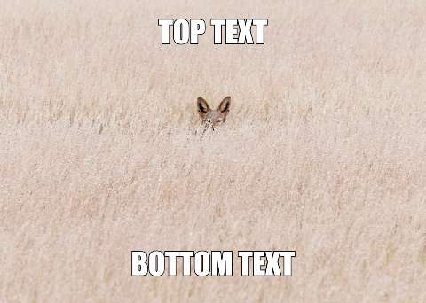 Thumbnail for Dog Memes