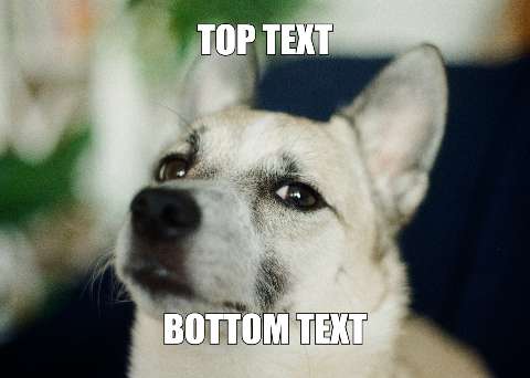 Preview for Meme-dog-template-4fc20