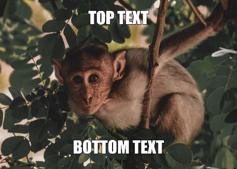 Preview for Meme-monkey-tree-meme-animal-template-82f85