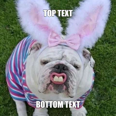 Preview for Funny-easter-dog-meme-easter-meme-template-2704e