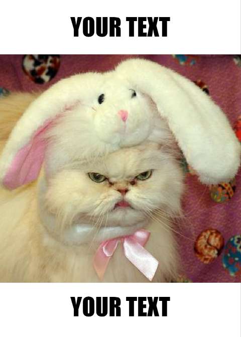 Preview for Grumpy-cat-easter-meme-template-4db9f