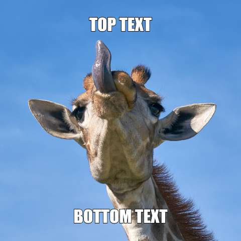 Preview for Giraffe-meme-template-meme-animal-5e0a3