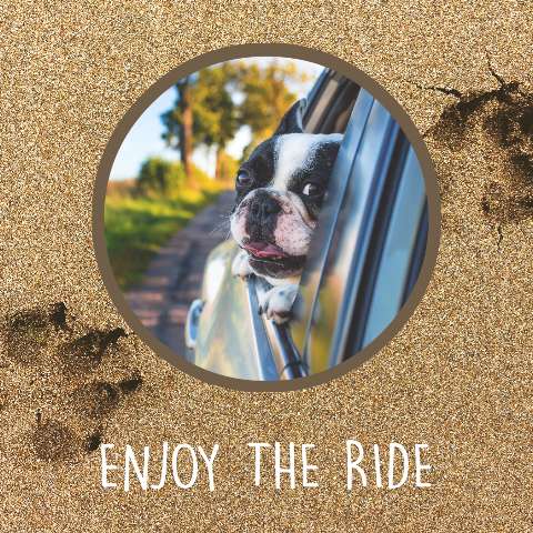 Preview for Dog-enjoying-car-ride-featured-template-e3703