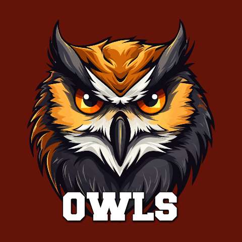 Preview for Owl-logo-design-logo-mascot-template-d6c9f