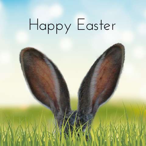 Preview for Happy-easter-bunny-template-364cd
