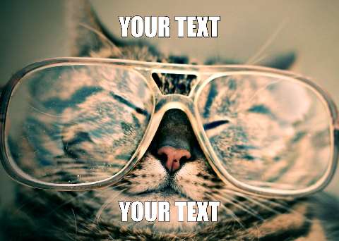 Preview for Funny-cat-sunglasses-template-meme-cat-75c64