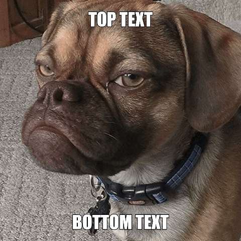 Preview for Pug-dog-meme-template-788cb