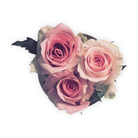 Preview for Pink Roses Bouquet Design Template
