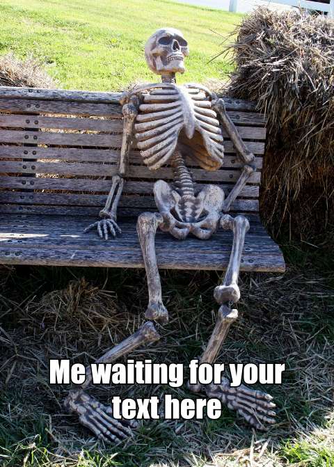 Preview for Skeleton-waiting-for-text-meme-template-b4b53