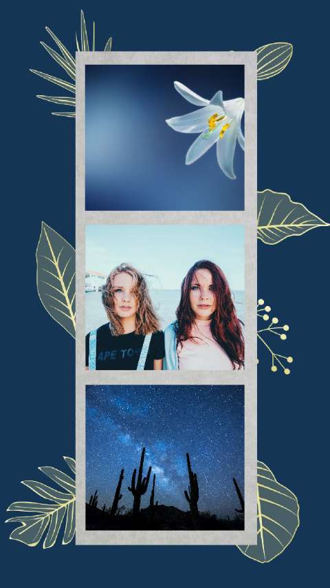 Preview for Desert-night-sky-cacti-photo-story-template-e5d3e