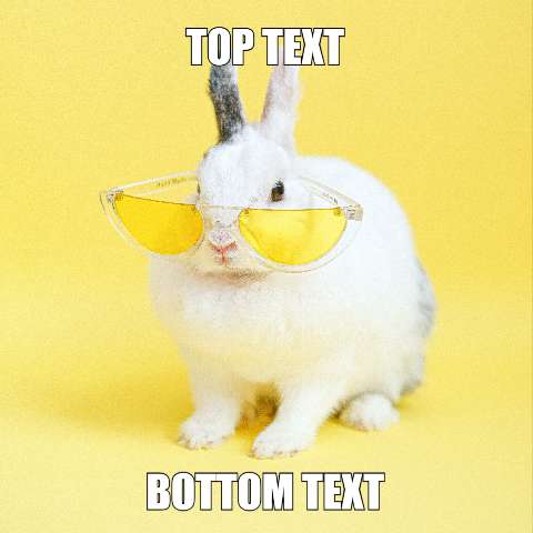 Preview for Funny-rabbit-meme-template-meme-animal-d743f