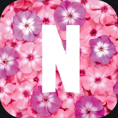 Preview for Letter-n-floral-design-app-icon-template-ab449