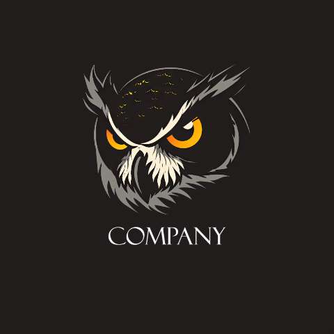 Preview for Owl-company-logo-design-logo-animal-template-2e85f