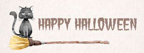 Preview for Halloween-black-cat-broomstick-halloween-social-template-e5dd0