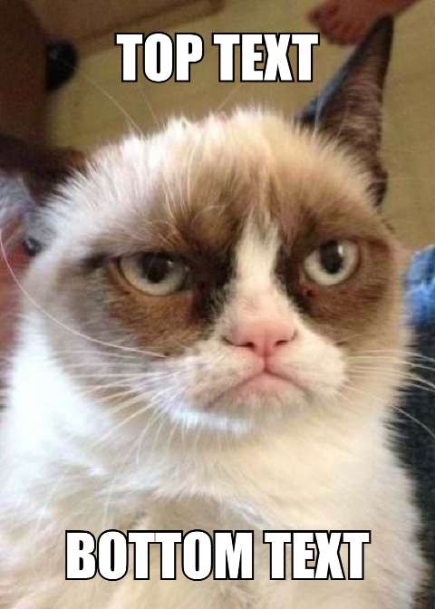 Preview for Grumpy-cat-meme-template-80d6c