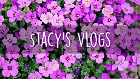 Preview for Stacys-vlogs-youtube-channel-template-41d17