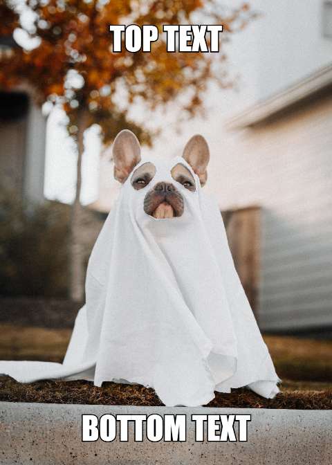Preview for Dog-ghost-costume-meme-halloween-template-7068b