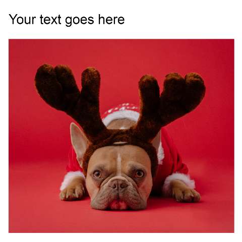 Preview for French-bulldog-christmas-reindeer-costume-holidaymeme-template-dc549