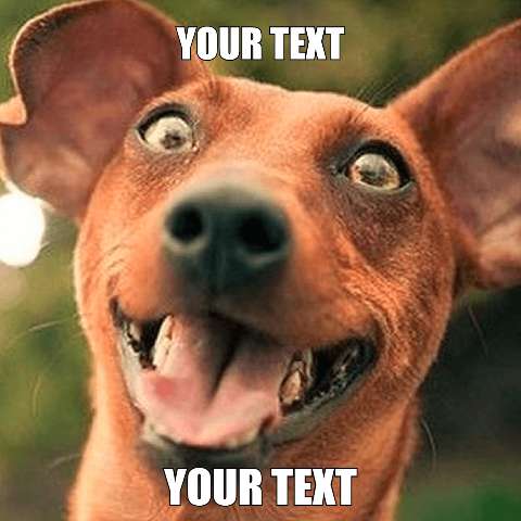 Preview for Crazy-dog-meme-template-meme-dog-b474f