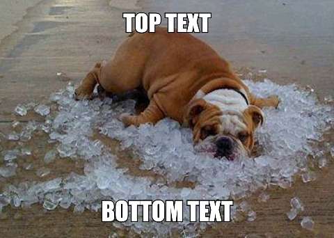 Preview for Bulldog-meme-template-on-ice-summermeme-dcb0f