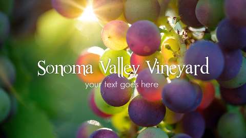 Preview for Sonoma-valley-vineyard-template-a9eca