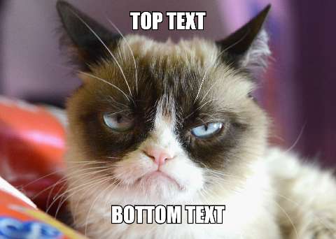 Preview for Grumpy-cat-meme-template-92e59
