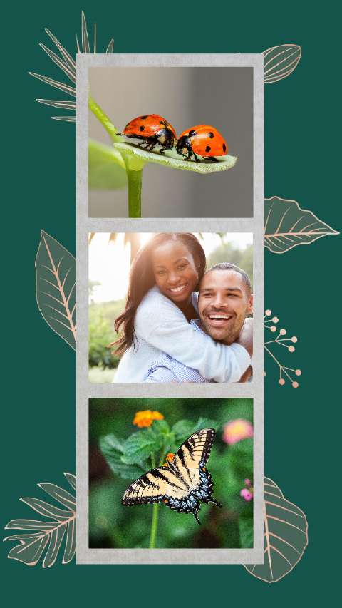 Preview for Nature-and-love-collage-photo-story-template-d2041