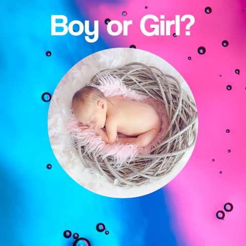 Preview for Baby-gender-reveal-moment-pink-template-bf2c3