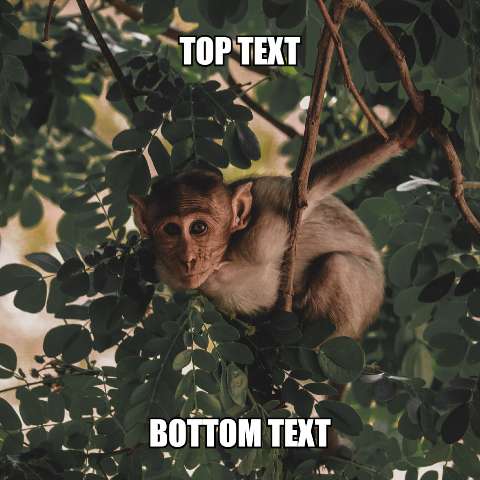 Preview for Macaque-monkey-tree-meme-animal-template-a19d3