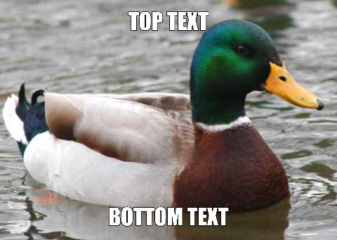 Preview for Mallard-duck-meme-template-c809a
