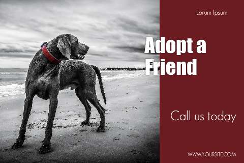 Preview for Adopt-a-friend-pet-adoption-promo-template-33d9b
