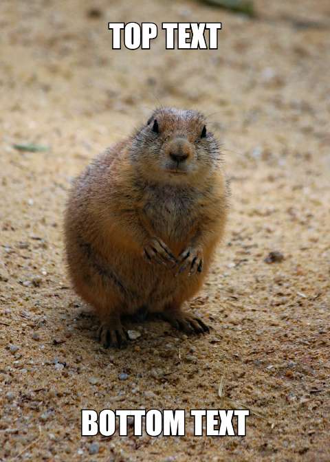 Preview for Marmot-meme-template-meme-halloween-3e98a