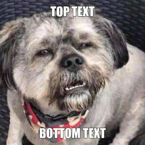 Preview for Meme-dog-template-meme-animal-ebbd7