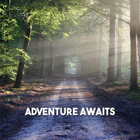 Thumbnail for Instagram Posts