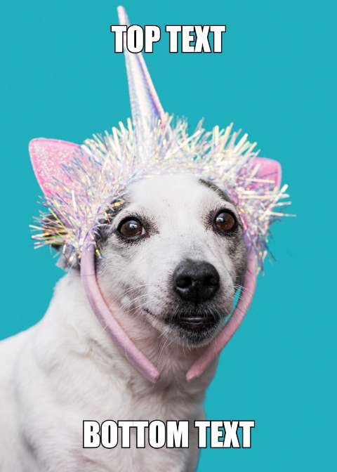 Preview for Unicorn-dog-meme-template-meme-dog-41c82