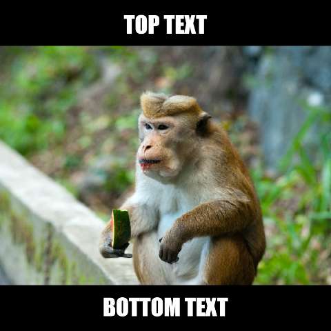 Preview for Meme-monkey-template-meme-animal-81449