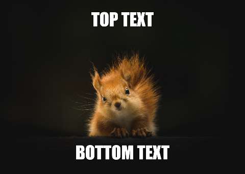Preview for Squirrel-meme-template-meme-classic-ad94e