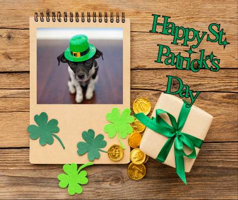 Preview for St-patricks-day-celebration-saint-patricks-template-aff16