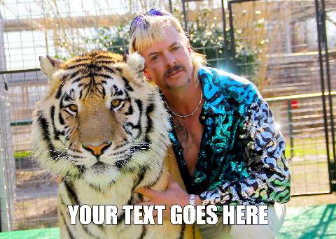 Preview for Joe-exotic-tiger-meme-template-d0be0