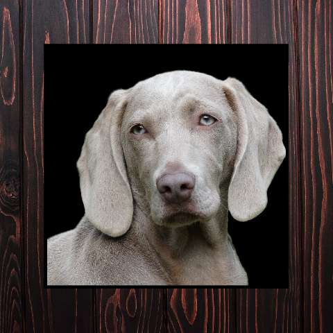 Preview for Silver-dog-portrait-wood-frame-template-34be2