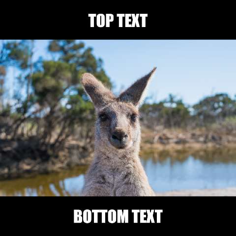 Preview for Kangaroo-meme-template-meme-animal-2f95e