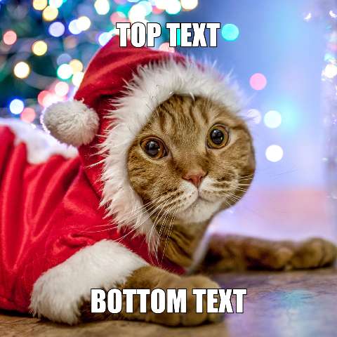 Preview for Christmas-cat-meme-template-holidaymeme-6eae6